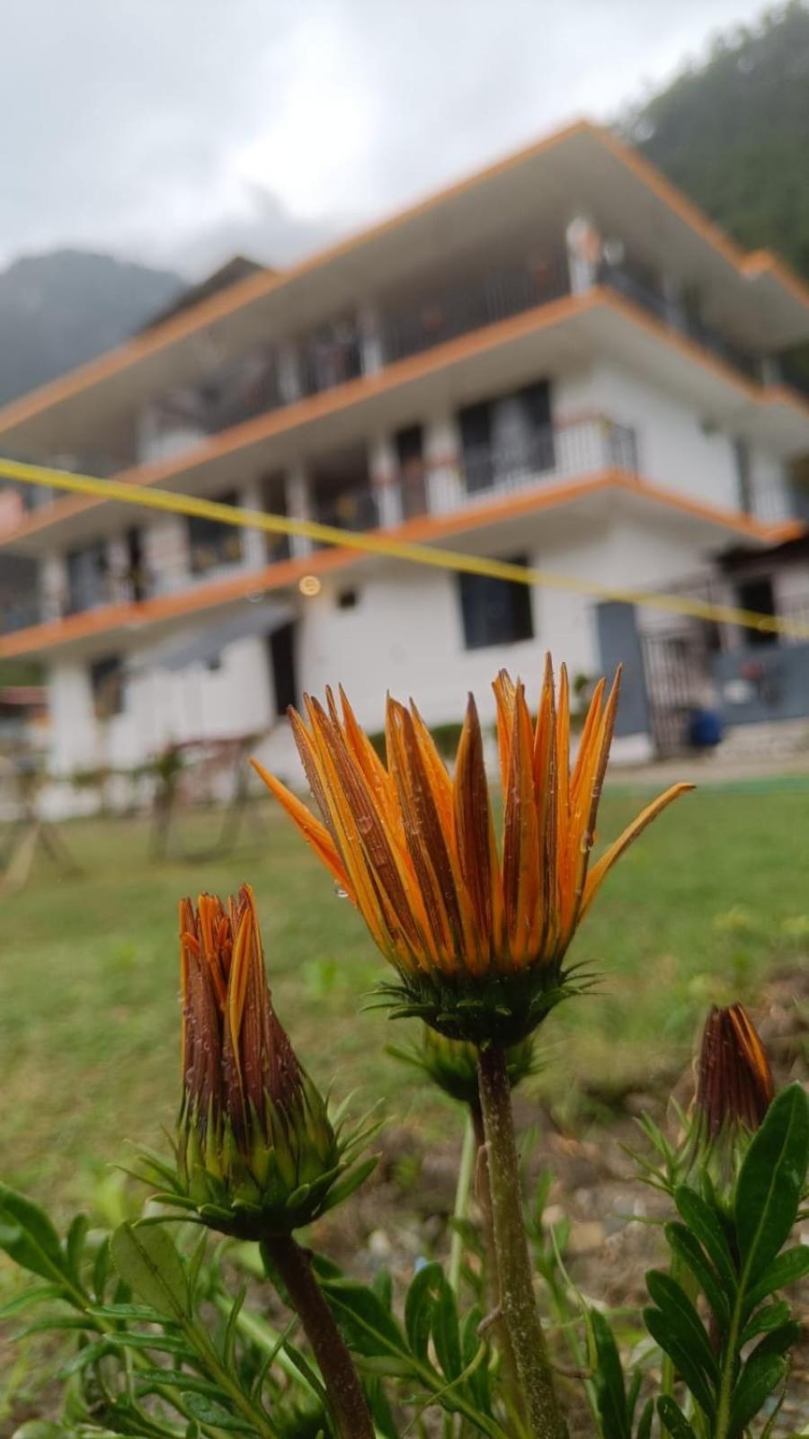 Himtrek Stay กาซอล ภายนอก รูปภาพ