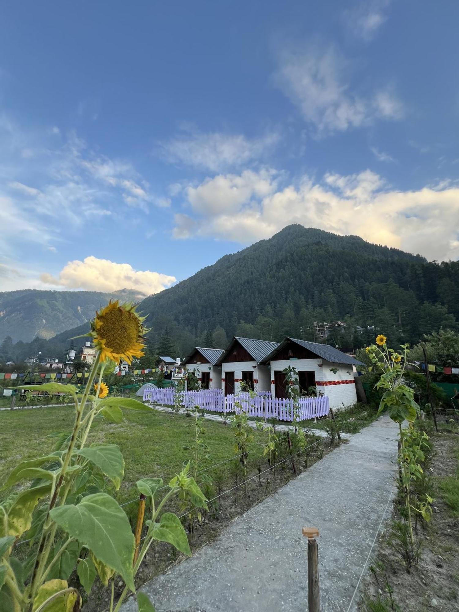 Himtrek Stay กาซอล ภายนอก รูปภาพ